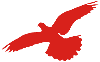 640 (30).png 640 (30).png