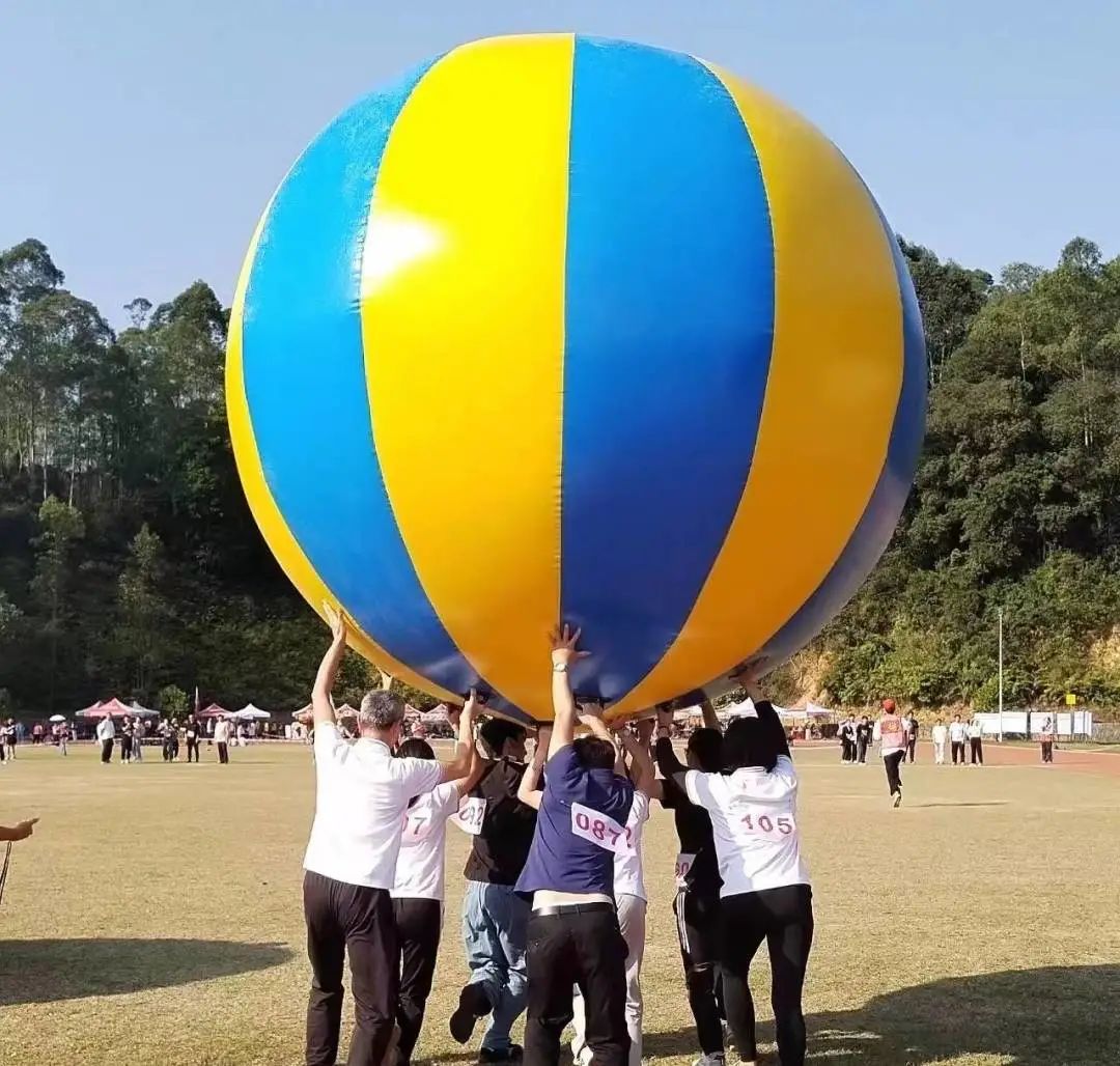 微信图片_20231201183246.jpg 微信图片_20231201183246.jpg