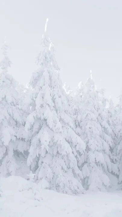 微信图片_20231222211122.jpg 微信图片_20231222211122.jpg