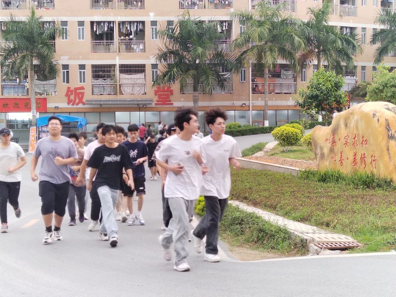 微信图片_20240329183816.jpg 微信图片_20240329183816.jpg