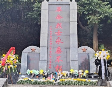 屏幕截图 2025-05-20 114955.png 屏幕截图 2025-05-20 114955.png